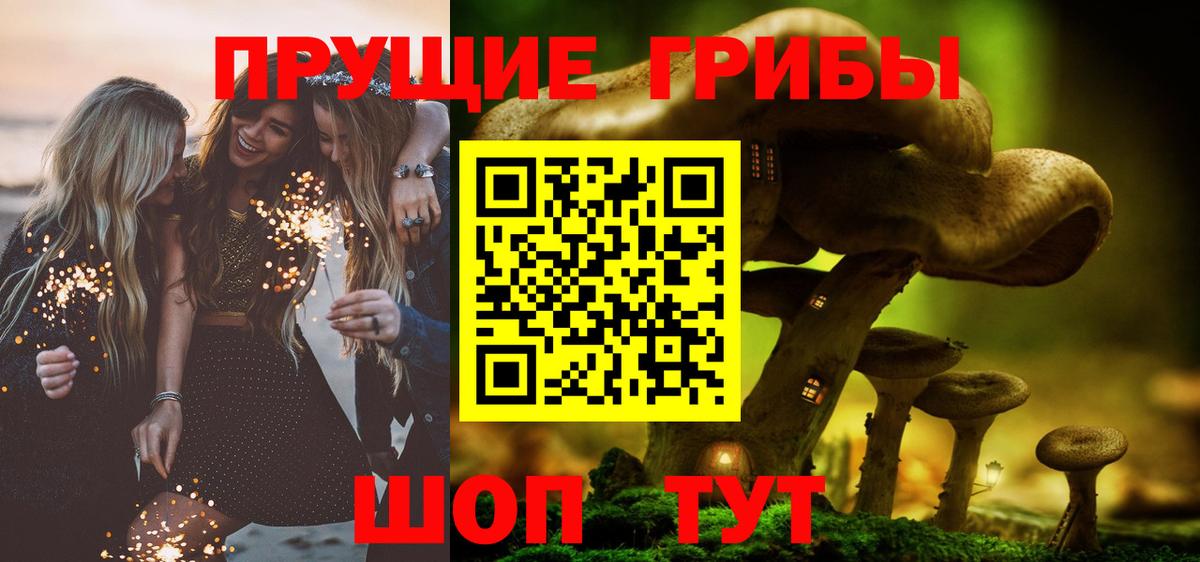 Галлюциногенные грибы Psilocybe Новотроицк