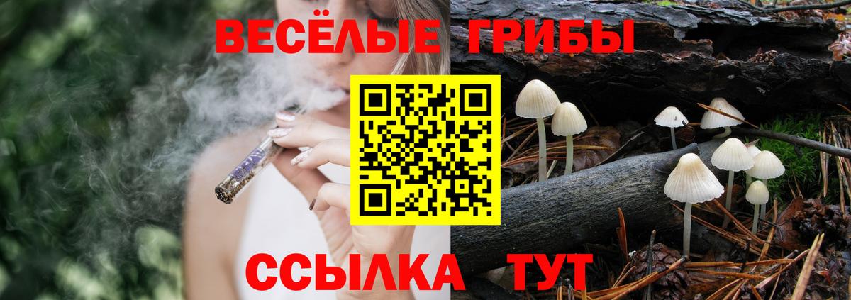 Новотроицк  Псилоцибиновые грибы мицелий  Вход с VPN 